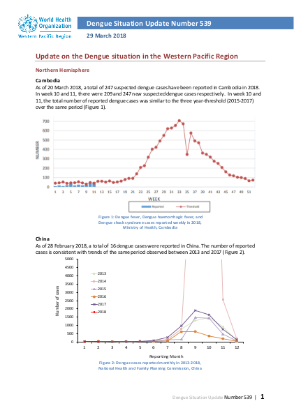 document preview